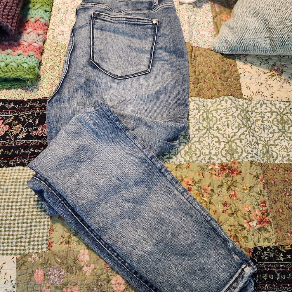 Judy Blue Skinny Jeans Sz 15